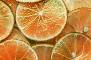 柑橘主干發(fā)出多芽怎么處理好？科學(xué)修剪技巧與常見問題解析