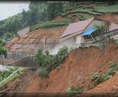 石門柑橘種植技術視頻_有人在黃昏里拍過照片嗎