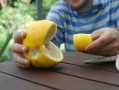柑橘水溶肥怎么操作視頻教學（柑橘水溶肥怎么操作視頻教學全集）