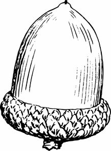 柑橘裂果怎么補(bǔ)救快呢（柑橘裂是什么?。? /></p><p>2、主要原因是赤霉素和2，4-D的濃度不合適。例如，赤霉素用于糖橙，果皮厚度小于0.8毫米，并且有許多開(kāi)裂的果實(shí)；高達(dá)8，果實(shí)開(kāi)裂少；超過(guò)5，柑橘不能沙化，影響品質(zhì)。</p><p style=