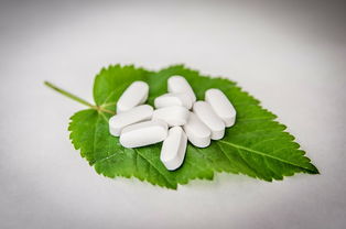 柑橘哪個(gè)品種較抗黃化?。ǜ套狱S化病怎么治）