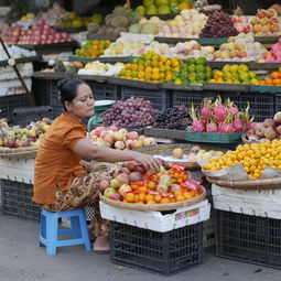 韓國生產(chǎn)橘子嗎現(xiàn)在（韓國生產(chǎn)橘子嗎現(xiàn)在還能吃嗎）