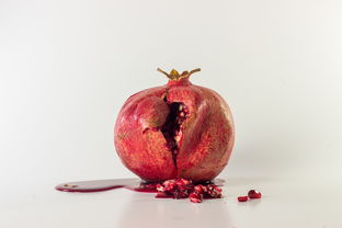 正宗紅美人柑橘樹苗直播：果農(nóng)直供現(xiàn)挖現(xiàn)發(fā)，保真帶土帶根包郵到家