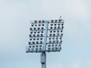 柑橘烏云為什么叫please？揭秘其命名背后的趣味故事與語言梗