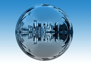 2023年全國各地區(qū)早熟品種柑橘樹苗價(jià)格表及行情分析