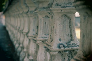 四川柑橘市場(chǎng)價(jià)格查詢指南:實(shí)時(shí)行情與最新動(dòng)態(tài)分析