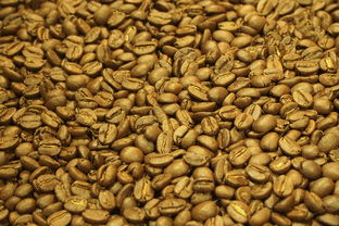 佛手柑怎么長(zhǎng)期保存？掌握這幾種方法讓新鮮持久不腐壞