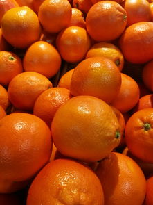 柑橘十大排名甘甜水果最新揭曉:果香濃郁品種推薦榜單