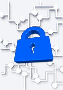 柑橘產(chǎn)業(yè)存在問題的深層成因與可持續(xù)發(fā)展路徑探析