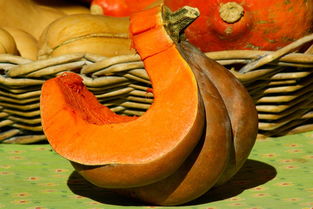 柑果球有哪些？全面解析柑果球種類與用途