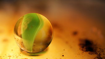 柑果球有哪些？全面解析柑果球種類與用途