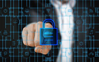 柑橘育苗體系流程標準化建設(shè)與高效技術(shù)應(yīng)用全解析