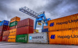 川津1號(hào)賣多少錢一斤？最新市場價(jià)格行情速遞！