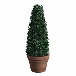 柑橘十大修剪口訣全解析:掌握技巧助果樹高產(chǎn)優(yōu)質(zhì)