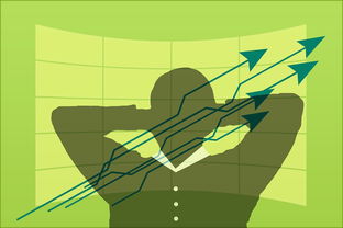 2023-2024年柑橘市場分析及銷售發(fā)展趨勢與銷售策略研究