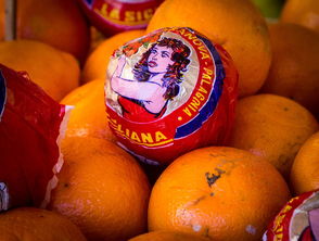 廣東水果特級柑橘:嶺南珍品,香甜多汁的自然饋贈(zèng)