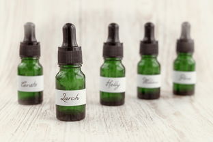 柑橘黃化用什么藥最好？科學(xué)用藥指南與綜合防治方案解析