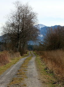 萬(wàn)畝柑橘基地航拍圖：俯瞰金秋豐收的生態(tài)農(nóng)業(yè)壯景