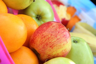 柑桔育苗過程的技術要點與關鍵步驟解析