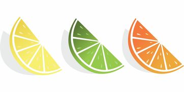 柑橘柚橙枳區(qū)別詳解：形態(tài)特征、分類與實(shí)用鑒別指南