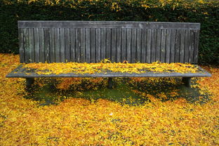 豐收季直擊!杷杷柑橘果樹(shù)直播現(xiàn)場(chǎng)教學(xué)+種植技巧大公開(kāi)