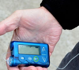 金脆柑橘種植技術(shù)有哪些？全面解析高效栽培方法與科學(xué)管理要點(diǎn)