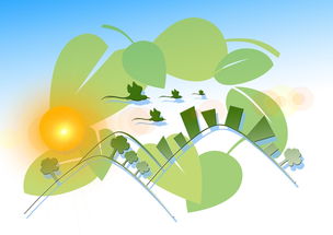 探秘柑橘特點(diǎn)及生長(zhǎng)環(huán)境:從品種特性到適宜氣候的全面解析