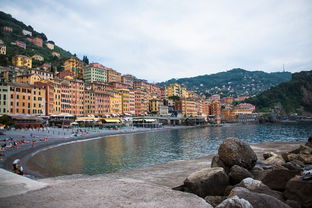 柑橘價格今日報價查詢:全國市場最新動態(tài)與實(shí)時更新一覽