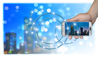 基于創(chuàng)新驅(qū)動的柑橘產(chǎn)業(yè)研究項目可持續(xù)發(fā)展路徑探索