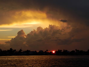 柑橘烏云星期二:果香謎云籠罩的都市懸疑序幕