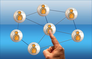 中國(guó)柑橘產(chǎn)業(yè)現(xiàn)狀及發(fā)展建議的深度分析報(bào)告寫作指南