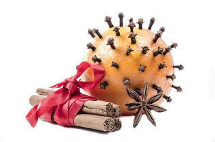 柑橘病蟲害發(fā)生規(guī)律一覽表：區(qū)域分布與季節(jié)動態(tài)詳解