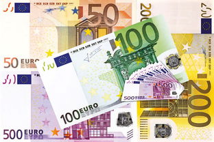 國(guó)慶一號(hào)柑橘苗多少錢？市場(chǎng)行情及價(jià)格走勢(shì)解析