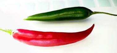 2023年全網(wǎng)熱銷榜首！廣西沃柑好評(píng)第一名，果香濃郁甜蜜爆汁