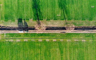 柑桔樹苗什么時候栽最好？春季秋季種植時機與地域選擇指南