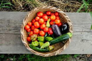 衢州柑橘零售直通車：新鮮直達(dá)家門口，綠色健康品質(zhì)優(yōu)！