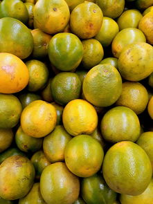 中國西南晚熟柑橘交易中心落戶云南，打造西南地區(qū)特色農(nóng)產(chǎn)品全產(chǎn)業(yè)鏈樞紐