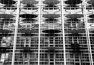 2021柑橘產(chǎn)量預(yù)測價格分析:產(chǎn)銷形勢與價格走勢深度解析報告