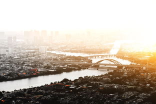 柑橘主要產(chǎn)區(qū)哪里？全球及中國(guó)分布深度解析