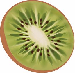 柑橘果實特征的形態(tài)解析與品質(zhì)評價研究