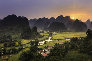 廣南縣柑橘產(chǎn)業(yè)振興之路：生態(tài)賦能鄉(xiāng)村振興新引擎