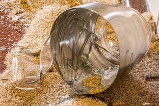 柑橘小實(shí)蠅什么口器？解析其刺吸式口器特征與危害機(jī)制