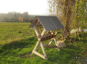 柑橘種植助力鄉(xiāng)村振興:綠色引擎繪就富民新篇章