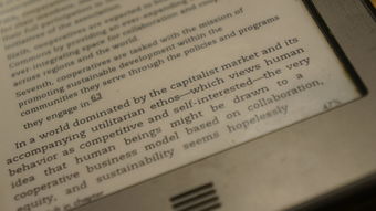 柑橘區(qū)別英語全解析:如何準確表達不同柑橘品種的英文名稱