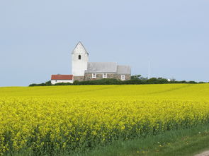 廣西第一早柑橘＂紅土地搶鮮上市——探秘桂北產區(qū)領鮮全國的早熟優(yōu)勢