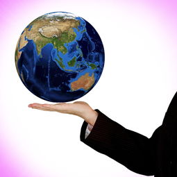 成柑橘苗市場發(fā)展現(xiàn)狀、區(qū)域布局及未來趨勢全面解讀