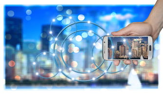 柑橘病蟲害防治：高效防控技術與全年管理要點解析