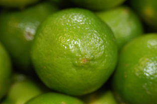 柑橘樹苗葉子發(fā)黃：成因解析與高效防治措施指南